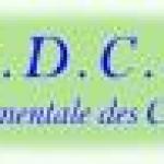 CONJOINTS-SURVIVANTS